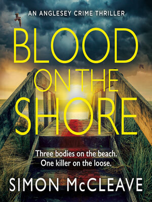 cover image of Blood on the Shore